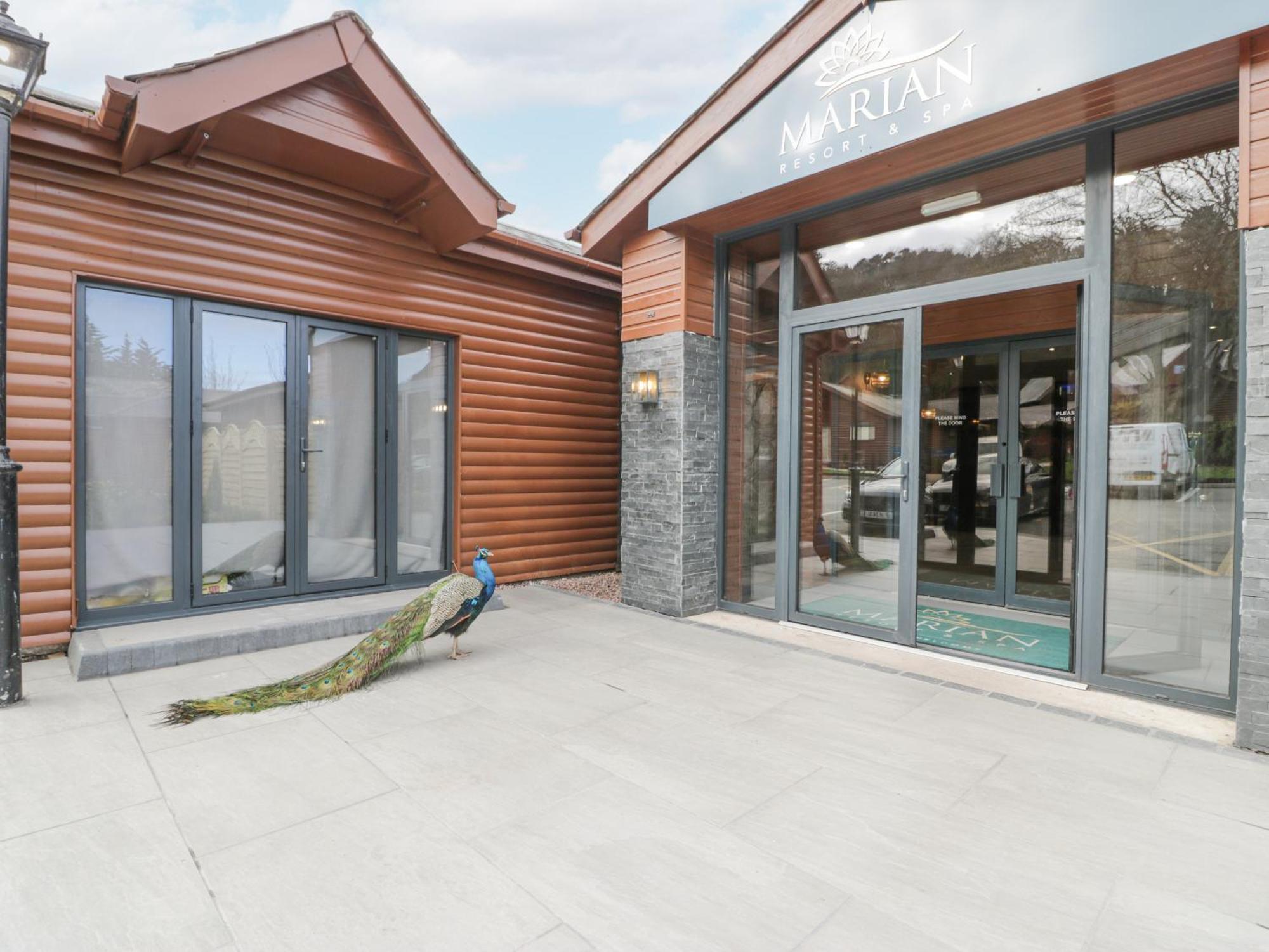 Luxury Lodge 53 Рил Екстериор снимка